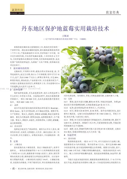 丹东地区保护地蓝莓实用栽培技术