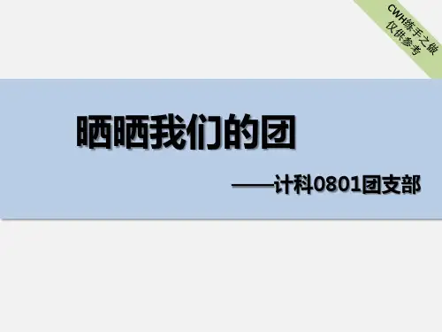五四红旗团支部申请答辩