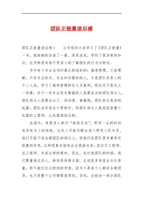 团队正能量读后感