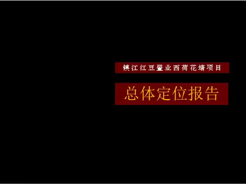 项目总体定位报告