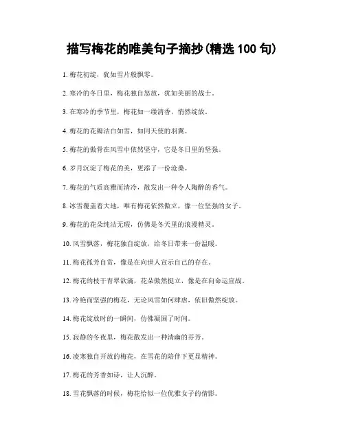 描写梅花的唯美句子摘抄(精选100句)