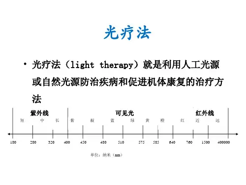 红外偏振光疗法PPT课件