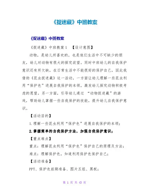《捉迷藏》中班教案