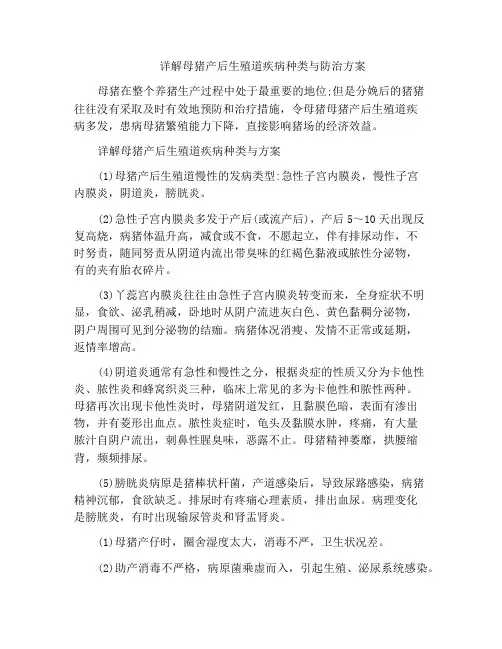 详解母猪产后生殖道疾病种类与防治方案