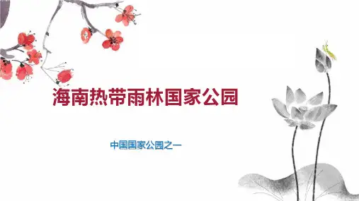 海南热带雨林国家公园