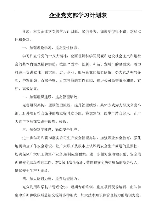 企业党支部学习计划表