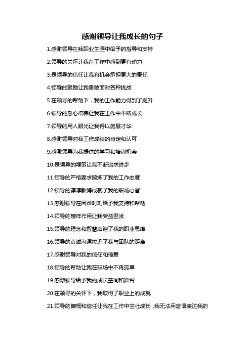 感谢领导让我成长的句子-概念解析以及定义