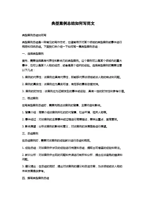 典型案例总结如何写范文