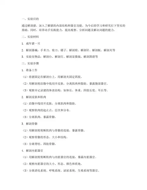 解剖猪的步骤及实训报告