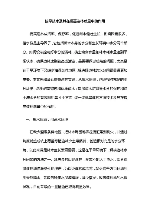 抗旱造林技术在提高质量方面的作用