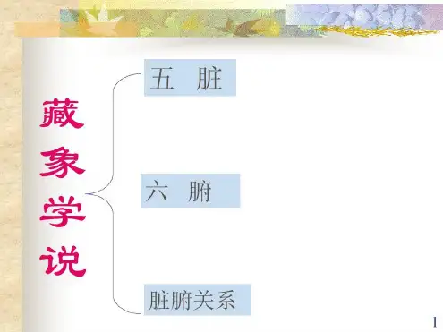 中医基础理论-脏腑学说医学
