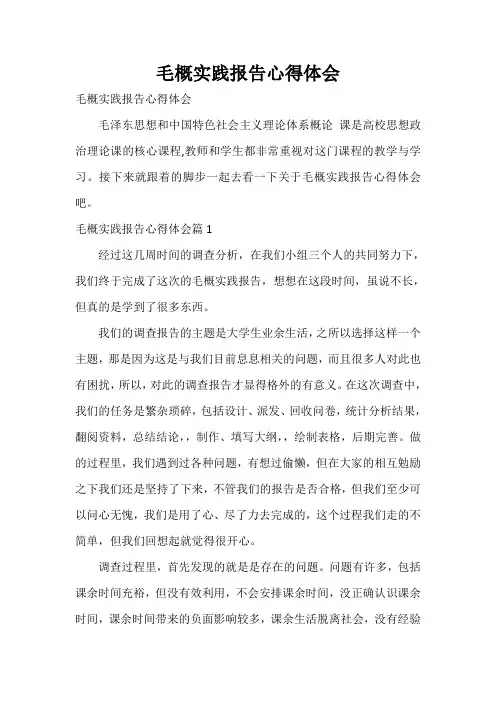  毛概实践报告心得体会