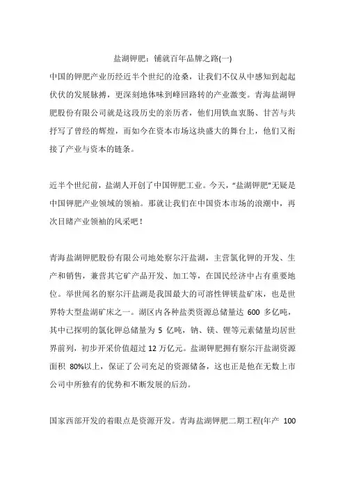 盐湖钾肥：铺就百年品牌之路(一)
