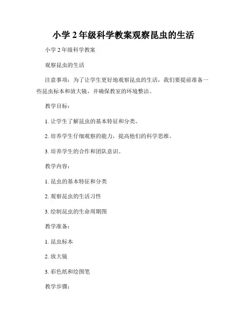 小学2年级科学教案观察昆虫的生活