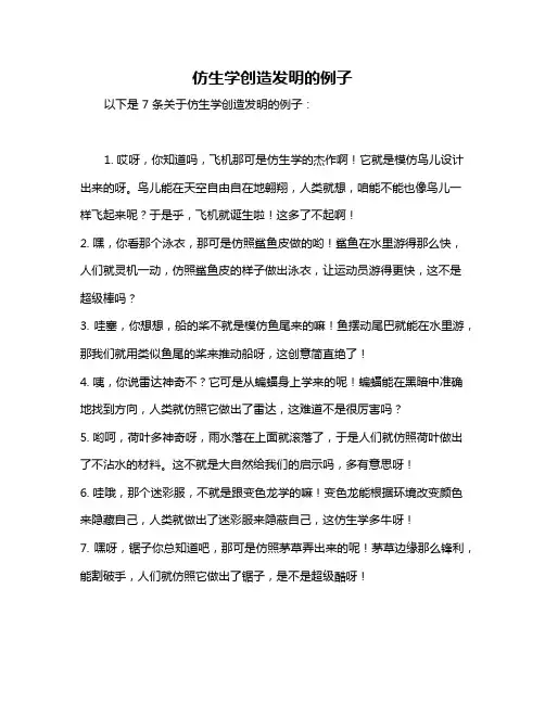 仿生学创造发明的例子
