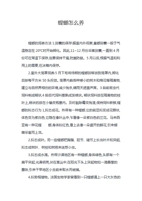 螳螂怎么养