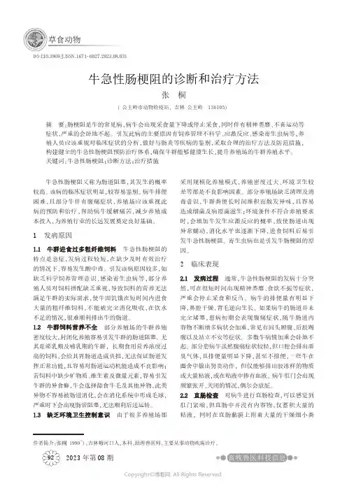 牛急性肠梗阻的诊断和治疗方法