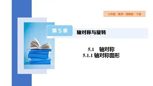 5.1.1+轴对称图形++课件+2023—2024学年湘教版数学七年级下册