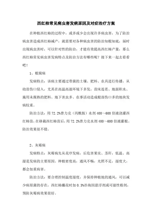 西红柿常见病虫害发病原因及对症治疗方案