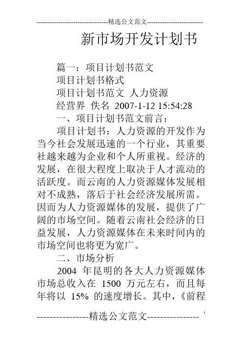 新市场开发计划书