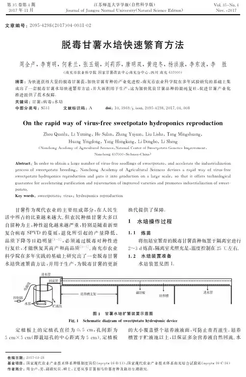 脱毒甘薯水培快速繁育方法