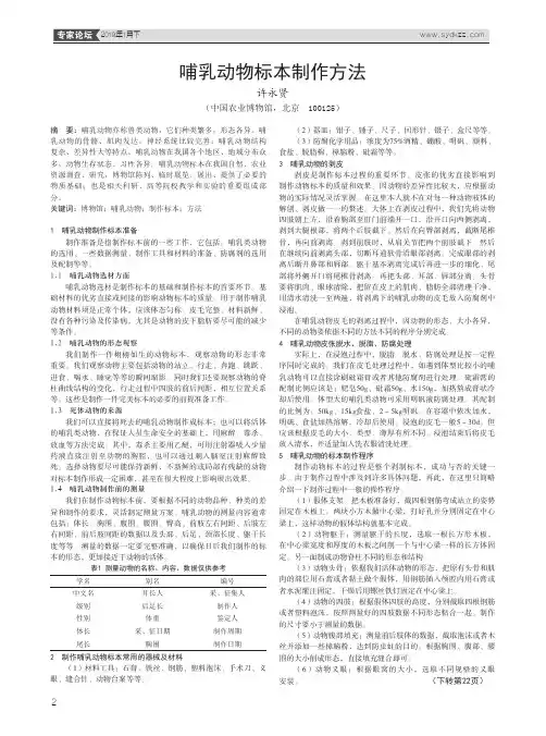 哺乳动物标本制作方法