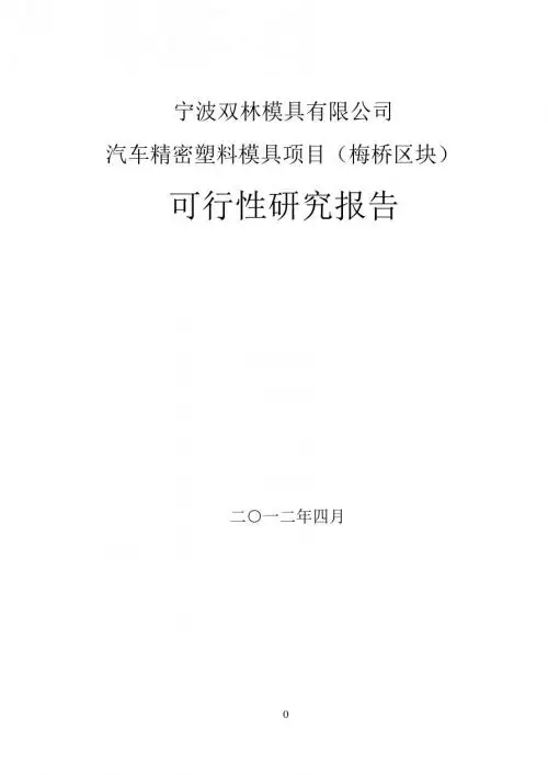 双林股份：汽车精密塑料模具项目(梅桥区块)可行性研究报告