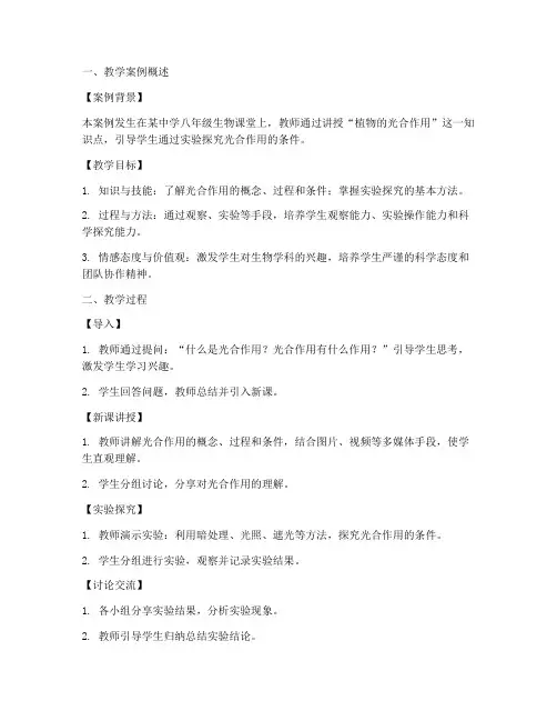 教学案例评析教案模板范文