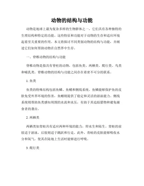 动物的结构与功能