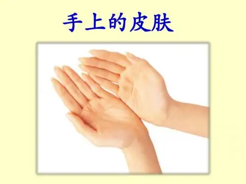 《手上的皮肤》