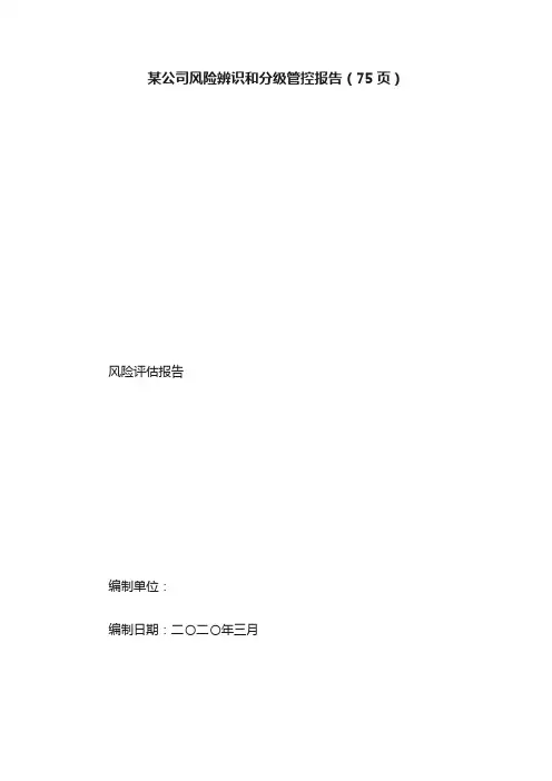 某公司风险辨识和分级管控报告（75页）