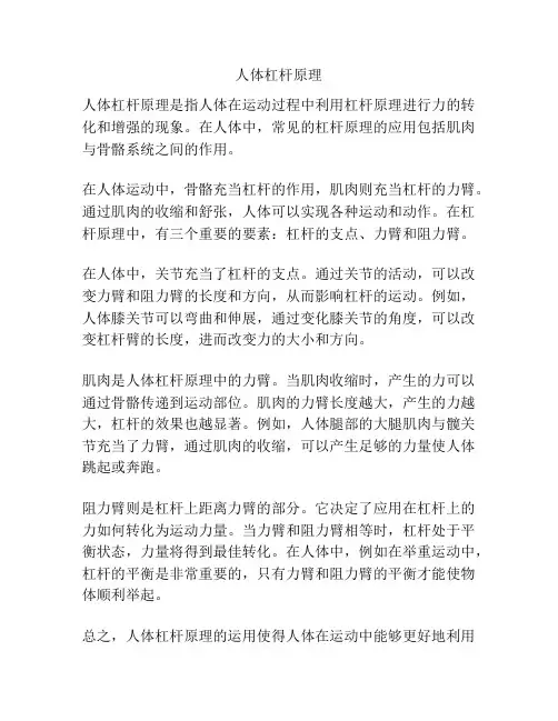 人体杠杆原理