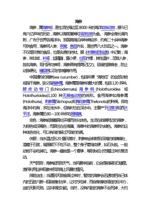 营养三宝之海参