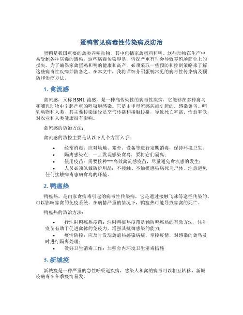 蛋鸭常见病毒性传染病及防治