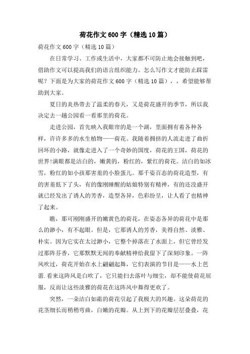 荷花作文600字(10篇)