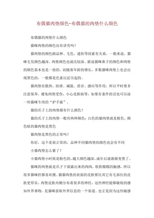 布偶猫肉垫颜色-布偶猫的肉垫什么颜色