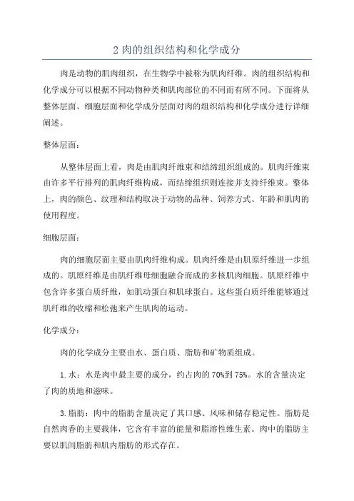 2肉的组织结构和化学成分