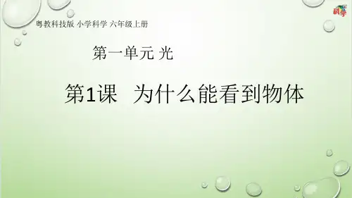 六年级科学上册第1课《为什么能看到物体》教学课件