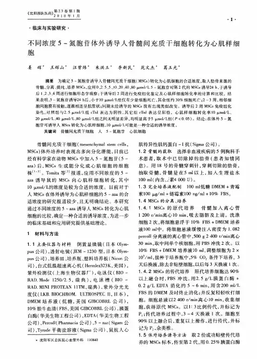不同浓度5-氮胞苷体外诱导人骨髓间充质干细胞转化为心肌样细胞