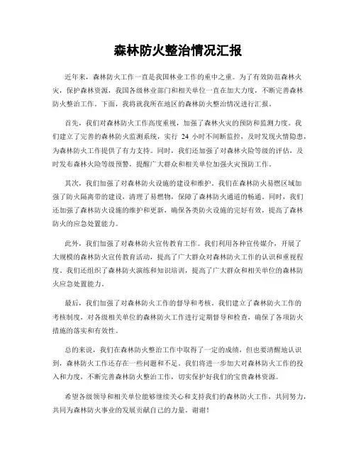 森林防火整治情况汇报
