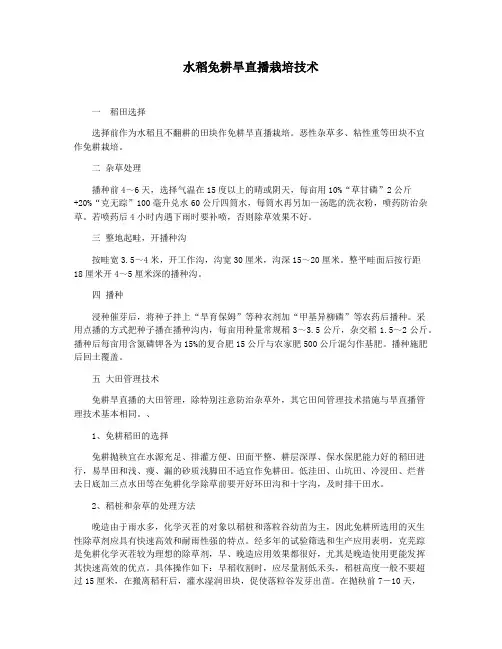 水稻免耕旱直播栽培技术