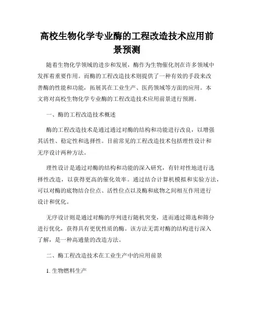 高校生物化学专业酶的工程改造技术应用前景预测