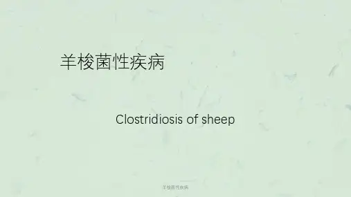羊梭菌性疾病课件