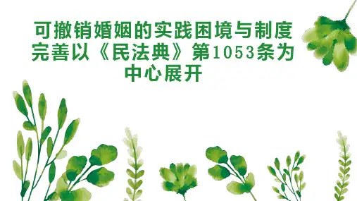 可撤销婚姻的实践困境与制度完善以《民法典》第1053条为中心展开