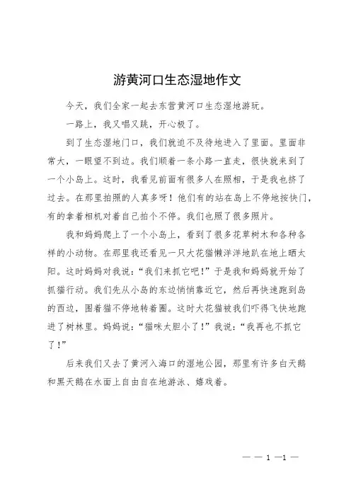 游黄河口生态湿地作文
