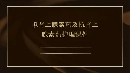 拟肾上腺素药及抗肾上腺素药护理课件