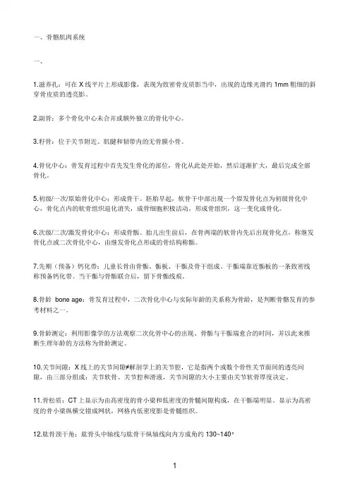 影像解剖2