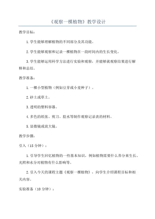 《观察一棵植物》教学设计