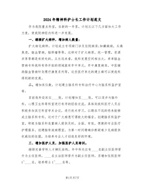 2024年精神科护士长工作计划范文(二篇)