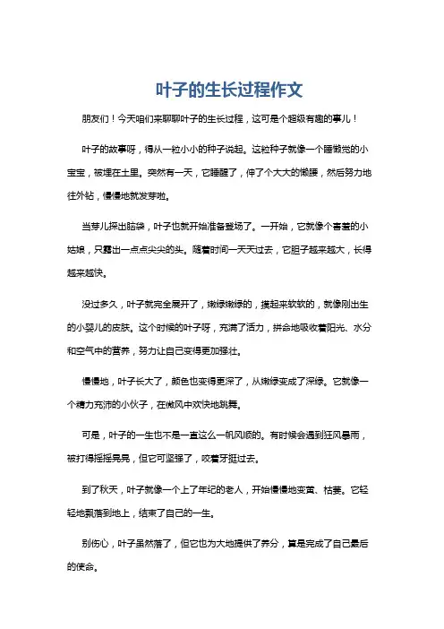 叶子的生长过程作文